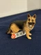 SCHLEICH Farm World German Shepherd Dog Toy Figure (16831)
