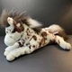 Douglas Duke Appaloosa Horse Brown Plush Toy Stuffed Animal 17" Pony Spotted EUC