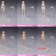 US stock 86TOYS T86 1/12 Suntan/Pale Breast Female Joint Body Figure Head Body