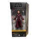 Star Wars The Black Series The Phantom Menace 03 Padme Amidala 6in Action Figure