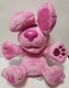Blue's Clues Peek-A-Boo Magenta 10" Plush Nickelodeon 2020 WORKS