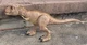 Jurassic World Camp Cretaceous Epic Roarin' T-Rex Tested Tyrannosaurus Rex