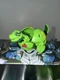 Bakugan Evolution Genesis Green Ventus Trox B600 Spin Master Toy