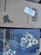 Hot Toys Star Wars Clone Trooper Gold Chrome Version 1:6 Scale Figure MMS735 New
