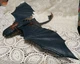 2010 Spin Master Night Fury TOOTHLESS 14" Rare Action Figure Train Your Dragon