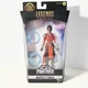 Marvel Legends Series Black Panther Hasbro Marvel's Nakia 6" Action Figure D6