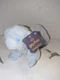 Wizarding World Noble Collection Harry Potter Otter Patronus Plush Hermione New