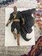 DC Direct Black Adam 12&rdquo; PVC Statue With Detachable Cape McFarlane Toys The Rock