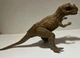 Jurassic World Dino Rivals Roarivores Ceratosaurus 