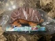 Disney Raya and The Last Dragon Fold'n Roll Tuk Tuk Plush 2-in-1 NEW Large Size