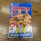 WWE LJN MATTEL SUPERSTARS HULK HOGAN 8" ACTION FIGURE 1980s RETRO LJN
