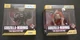 Godzilla X Kong The New Empire Jada Metalfigs Key Chains 1 KONG 1 Scar King 2.5"