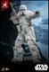 Hot Toys MMS768 Star War Solo Range Trooper 1/6 Scale 12" Figure Exclusive