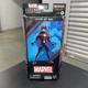 Hasbro Marvel Legends Series Future Ant-Man Action Figures 6"