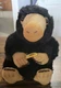Niffler Fantastic Beasts Stuffed Animal Plush 8" Noble Collection New with Tags 