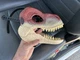 Jurassic World REBIRTH Velociraptor Dinosaur Hard Plastic Mask