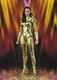 S.H Figuarts Wonder Woman Golden Armor (WW84) Tamashii Nations