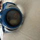 Vintage Marvel Spiderman Digital Watch 2002 Blue Band Clicks Need Battery  