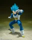 Bandai S.H.Figuarts Super Saiyan God Vegeta Unwavering Saiyan Pride Dragon Ball
