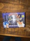 Kidrobot&reg; NECA&reg; Sonic The Hedgehog&trade;- Sonic & Tails-Vinyl Mini Figures-&copy;SEGA-2021