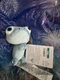 Disney Frozen Bruni Small Magnet Hands Plush New With Tags WDW 2024 Edition