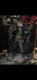 Mezco Rumble Society Captain Nemo Action Figure - 76072