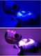 Disney Frozen 2 Bruni Fire Spirit Salamander 6.5" Light-Up Figure 2019 **Works**
