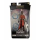 Marvel Black Panther Marvels Nakia Legends Legacy Collection Hasbro Action Fig