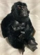 Vntg Disney Store Mini Bean Bag Mighty Joe Young Toy Gorilla Doll Black 8"