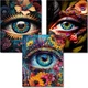 Diamond Art Kits for Adults,3 Pack Colorful Eye Diamond Painting for Beginner...