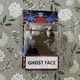 NECA Toony Terrors Scream Ghostface Action Figure New