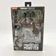 Teenage Mutant Ninja Turtles Raphael Frankenstein's Monster Action Figure NECA