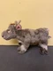 The Disney Store Frozen Sven Reindeer Plush Animal Stuffed Standing 11&rdquo;