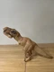 Jurassic World Giant Chomping T-Rex B1156 Tyrannosaurus Rex Jurassic Park 2015
