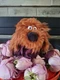 Ty Beanie Babies Secret Life Of Pets Duke 8" Plush Stuffed Animal Toy 2016 Dog