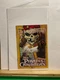 Pirates of The Caribbean The Haunting of Jack Sparrow! Secrets Zizzle 2007