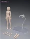 US 86TOYS 1:12 T86-ST01-A Pale Skin Small Bust 6in Female Joint Figure Head Body