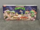 TURTLES in DISGUISE 4-Pack NECA Target Ninja Cartoon TMNT -- MATTE VERSION NEW
