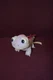 Bruni Plush Fire Spirit Purple Lizard Stuffed Animal Toy 9" Disney Frozen 2 F9