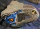 Jurassic World Chomp 'N Roar Mask Velociraptor Blue 2017 Halloween Dinosaur Dino