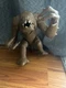 Vintage Kenner Star Wars Rancor Monster 1983 ROTJ in Great Condition