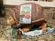 Disney Raya and the Last Dragon Fold'n Roll Tuk Tuk Plush 6" Toy ROLLS INTO BALL