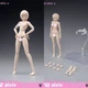 1/12 86TOYS T86-ST01A Pale Skin Flexible Female Joint  6'' Action Figure Bodys