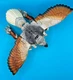 Kenner Transformers Beast Wars Fuzors Silverbolt Figure 1997 Takara Deluxe Class