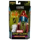 HASBRO - Marvel - Legends: Super Villans - The Hood Action Figure