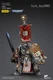 JOYTOY x Warhammer 40K Grey Kinghts Kaldor Draigo 1/18 Action Figure
