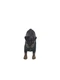 Homies Shop Toy Figure vinyl global lowrider Series 5 Devildog rottweiler bullyz