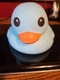 Laffy Quacks Squishy Duck Light Blue
