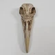 MARVEL LEGENDS KHONSHU BAF HEAD FIGURE PART MOON KNIGHT BIRD SKULL DISNEY+ 2022