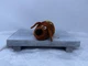 Ty Teeny Tys Secret Life of Pets DUKE the Dog 4" Beanbag Plush Stuffed Toy